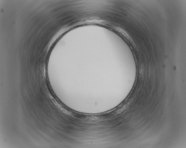 X0000078831420200612111508