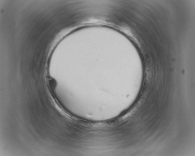 X0000078831421200612111508