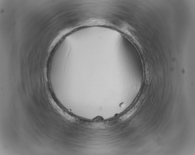 X0000078831422200612111508