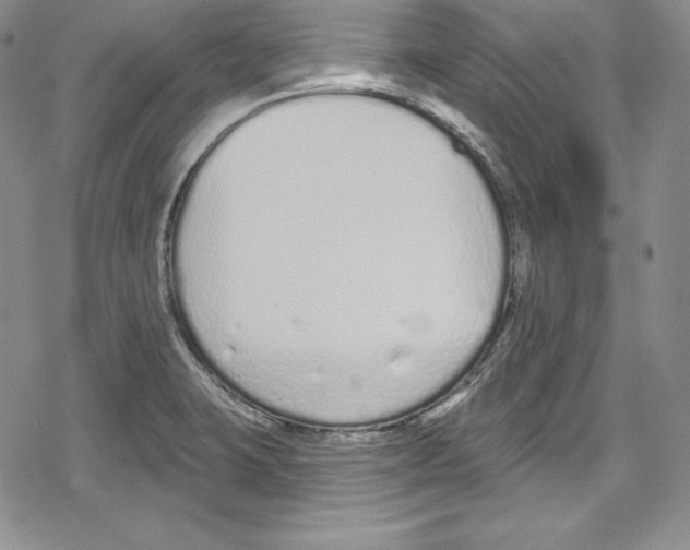 X0000078831423200612111508