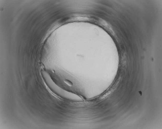 X0000078831425200612111508