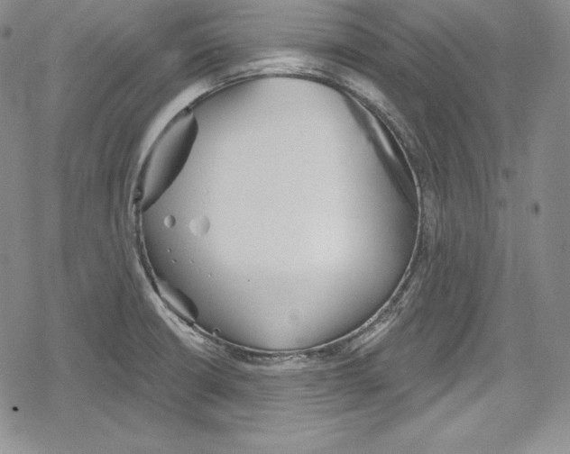 X0000078831426200612111508