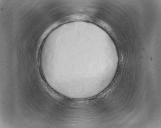 X0000078831427200612111508