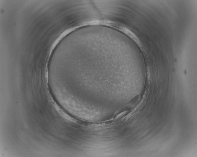 X0000078831428200612111508