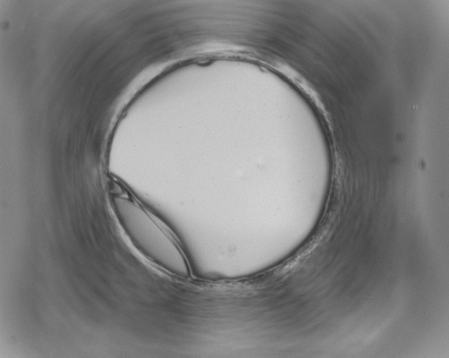 X0000078831429200612111508