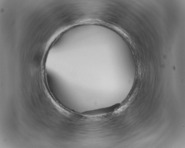 X0000078831430200612111508