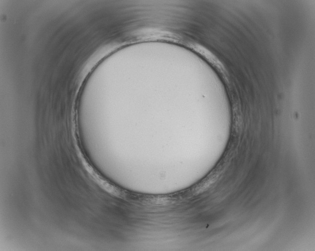 X0000078831431200612111508