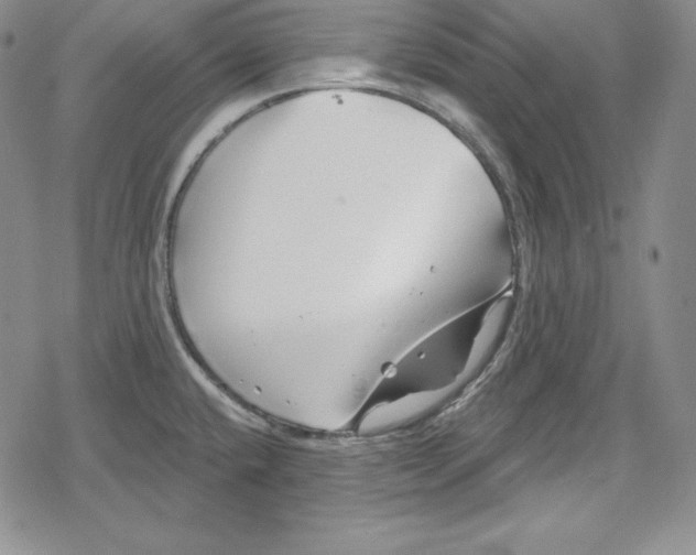 X0000078831432200612111508