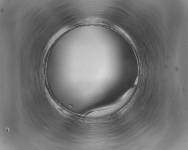 X0000078831434200612111508