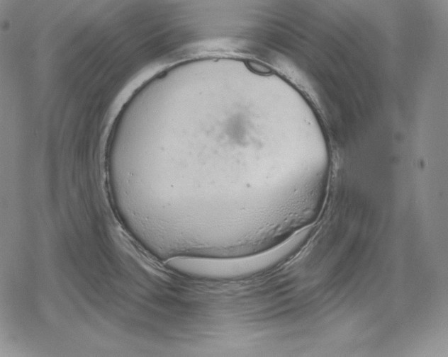 X0000078831435200612111508