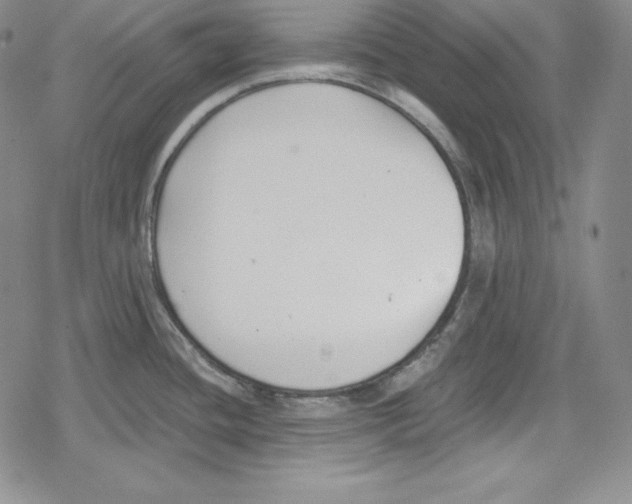 X0000078831436200612111508