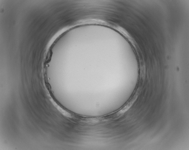 X0000078831438200612111508