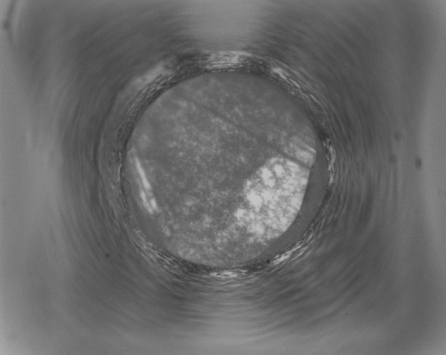 X0000078831441200612111507