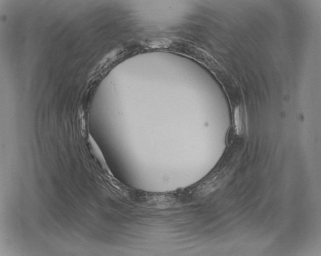 X0000078831443200612111507