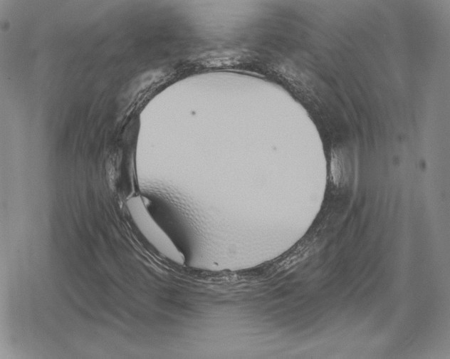 X0000078831444200612111507