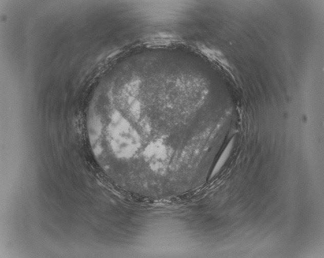 X0000078831445200612111507