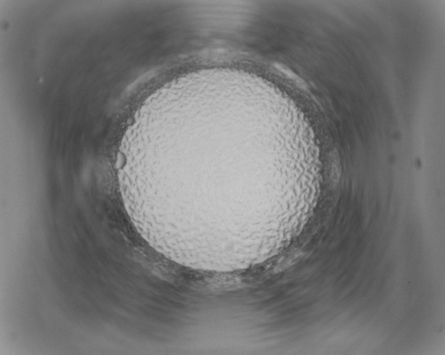 X0000078831446200612111507