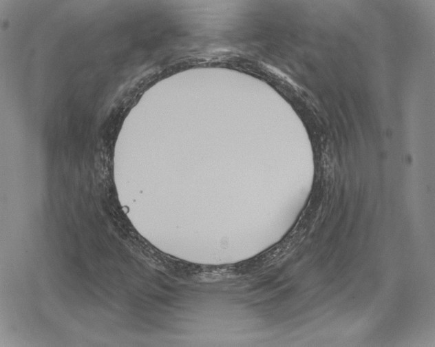 X0000078831447200612111507