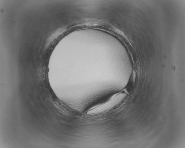 X0000078831448200612111507