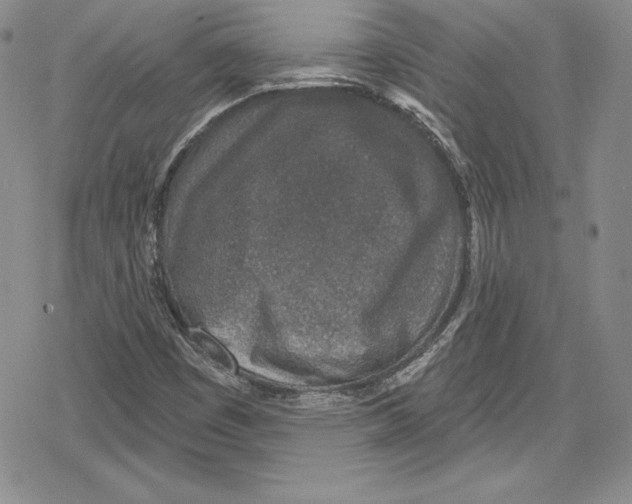 X0000078831449200612111507