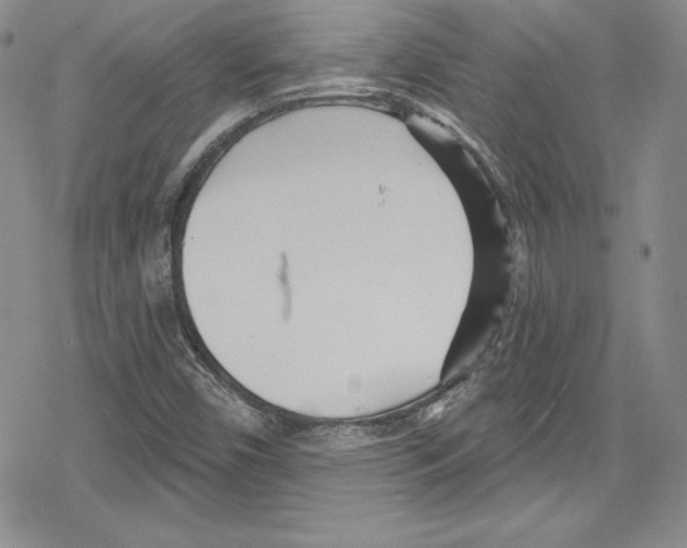 X0000078831450200612111507