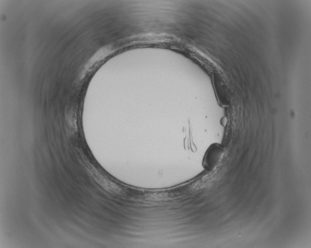 X0000078831451200612111507