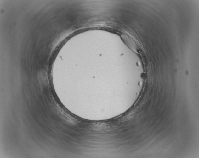 X0000078831452200612111507