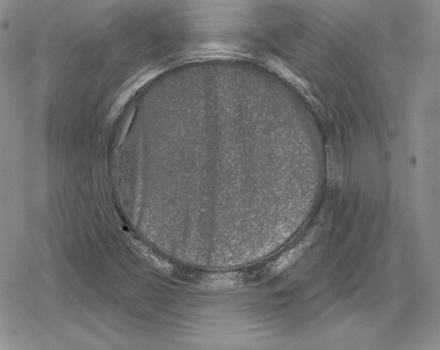 X0000078831453200612111507