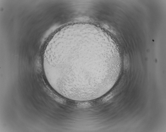 X0000078831454200612111507