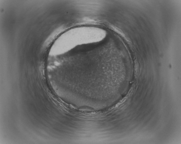 X0000078831455200612111507