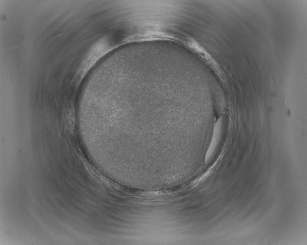 X0000078831457200612111507