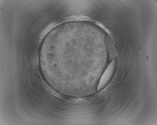 X0000078831459200612111507