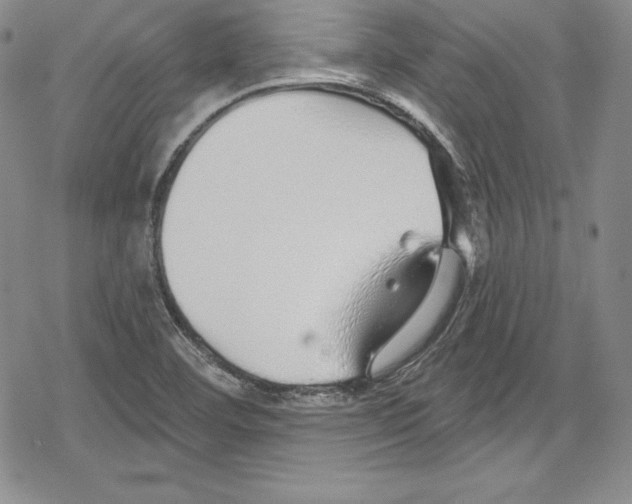 X0000078831460200612111507