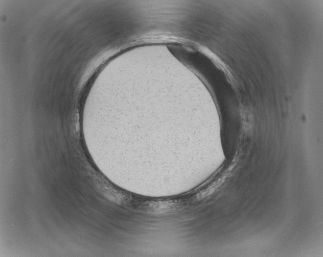 X0000078831461200612111507