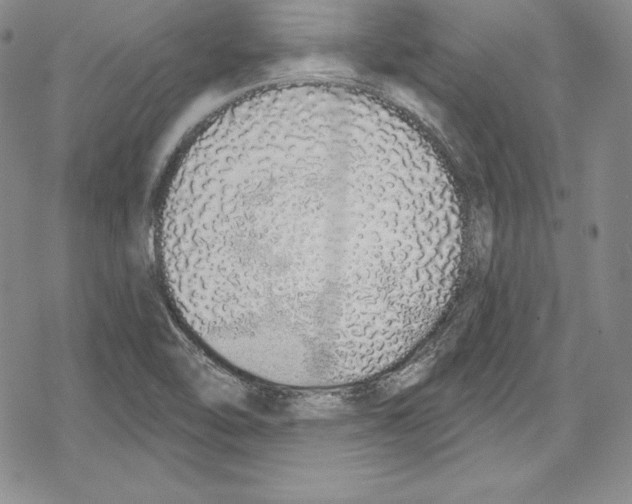 X0000078831462200612111507