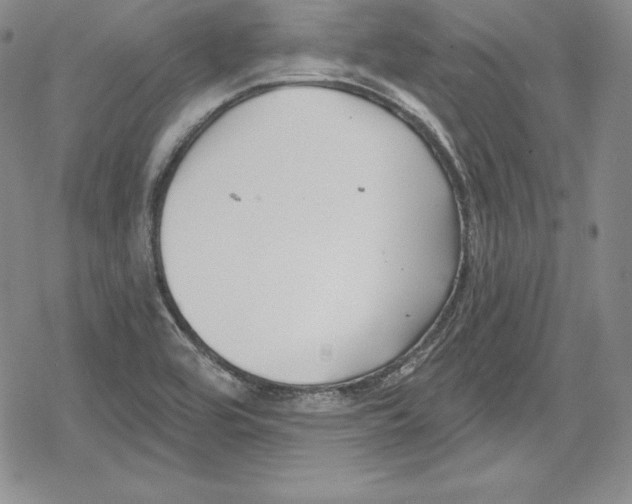 X0000078831464200612111507