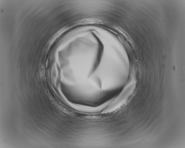 X0000078831465200612111507