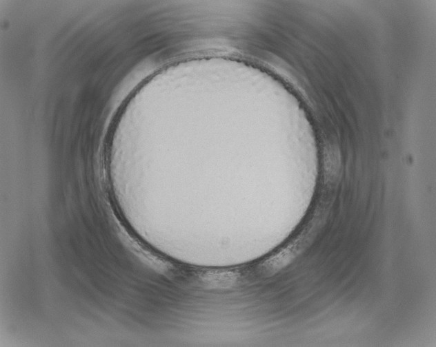 X0000078831466200612111507