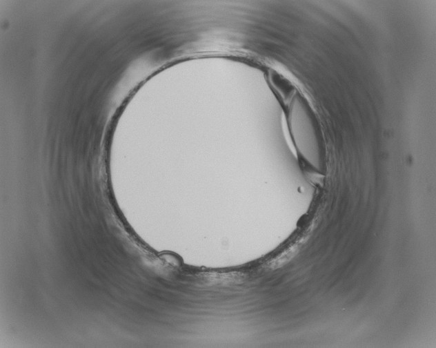 X0000078831469200612111507