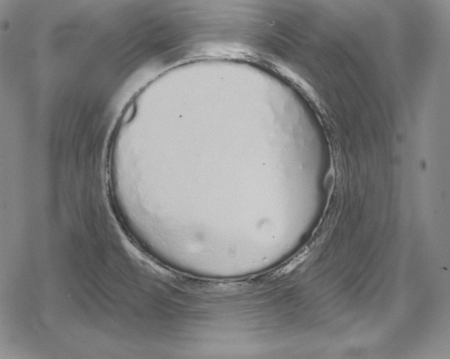 X0000078831471200612111507