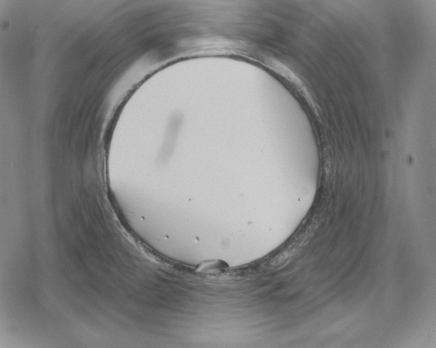 X0000078831472200612111507