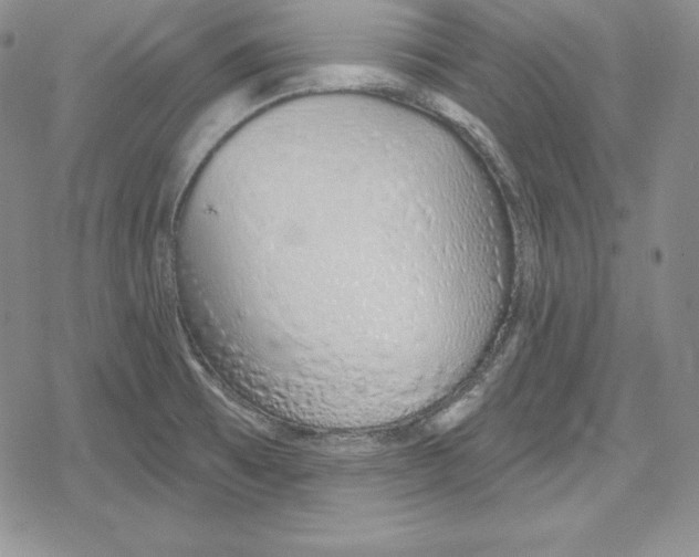 X0000078831473200612111507