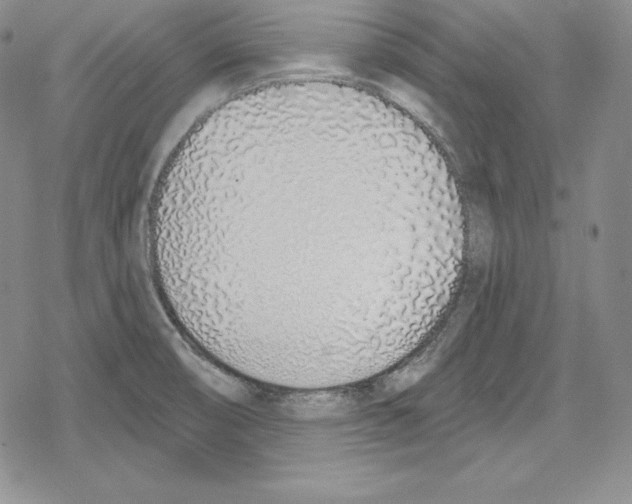 X0000078831474200612111507