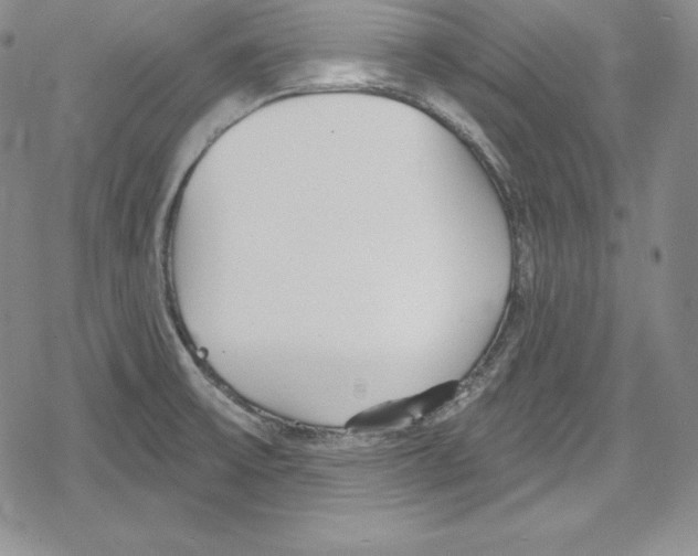 X0000078831475200612111507