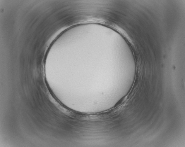 X0000078831476200612111507