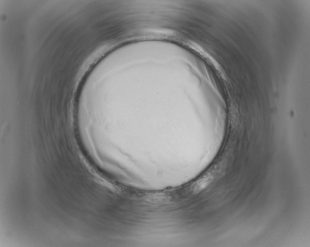 X0000078831477200612111507