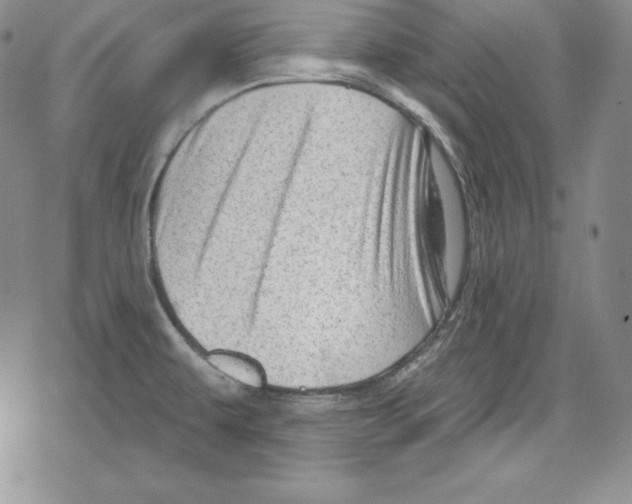 X0000078831479200612111507