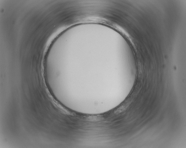 X0000078831480200612111507