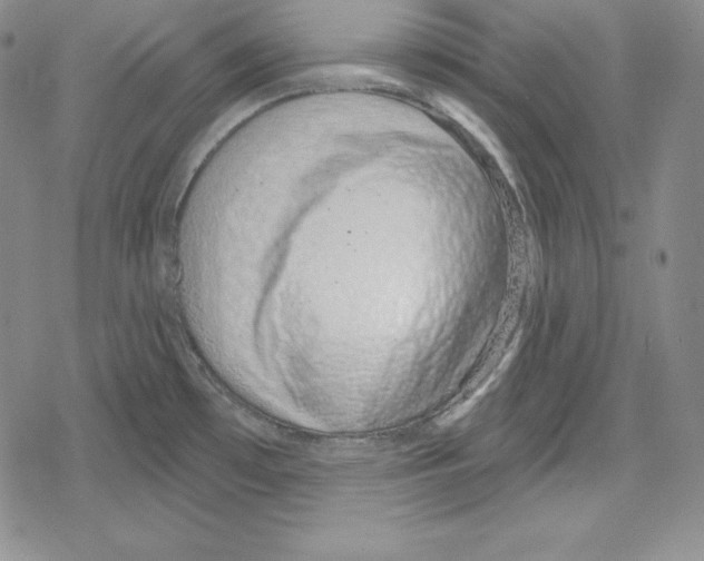 X0000078831481200612111507