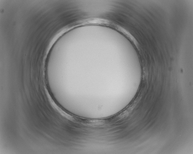 X0000078831483200612111507